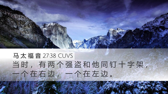 马 太 福 音 27:38 CUVS Bible Verse Image