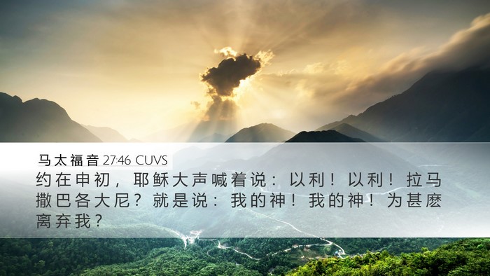 马 太 福 音 27:46 CUVS Bible Verse Image