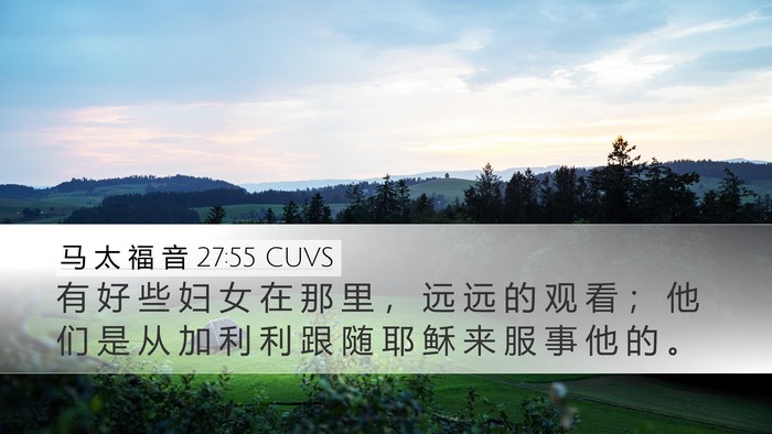 马 太 福 音 27:55 CUVS Bible Verse Image