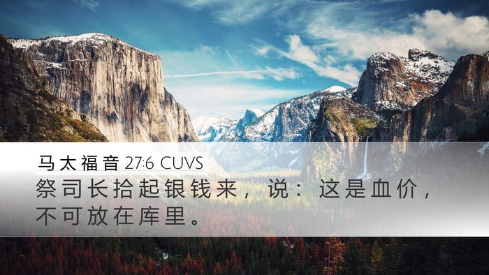 马 太 福 音 27:6 CUVS Bible Verse Image