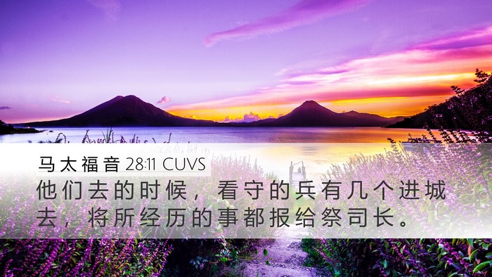 马 太 福 音 28:11 CUVS Bible Verse Image