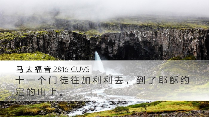 马 太 福 音 28:16 CUVS Desktop Wallpaper - 十 一 个 门 徒 往 加 利 利 去 ， 到 - Desktop Bible Verse Wallpaper