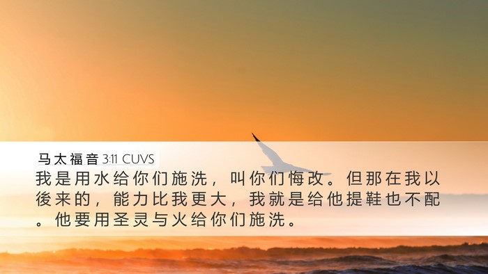 马 太 福 音 3:11 CUVS Bible Verse Image