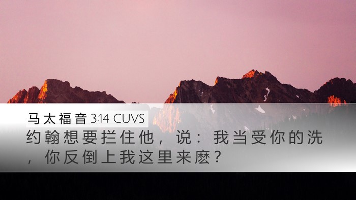 马 太 福 音 3:14 CUVS Bible Verse Image