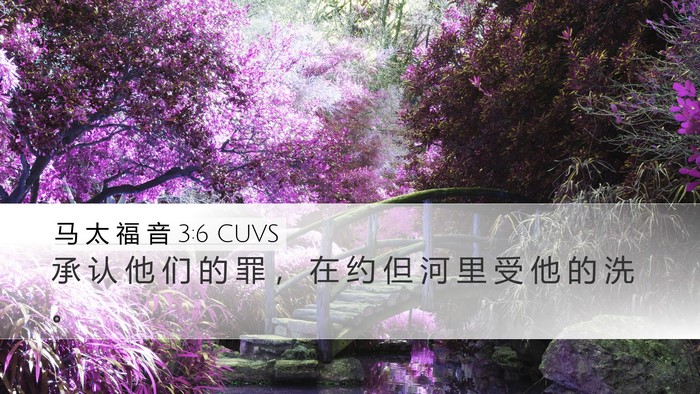 马 太 福 音 3:6 CUVS Bible Verse Image