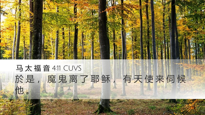 马 太 福 音 4:11 CUVS Bible Verse Image