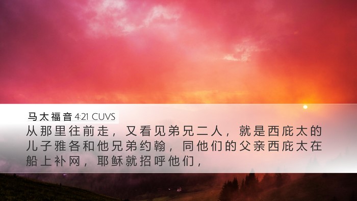马 太 福 音 4:21 CUVS Bible Verse Image
