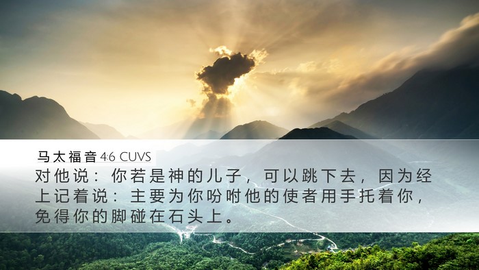 马 太 福 音 4:6 CUVS Bible Verse Image