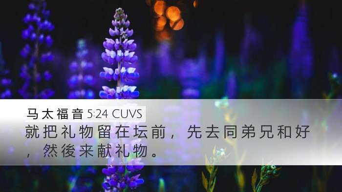 马 太 福 音 5:24 CUVS Bible Verse Image