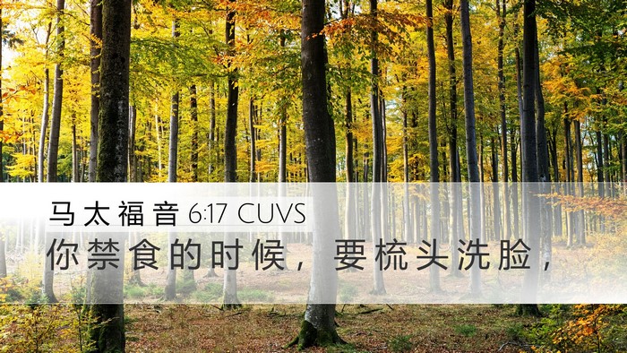 马 太 福 音 6:17 CUVS Bible Verse Image
