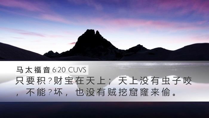 马 太 福 音 6:20 CUVS Bible Verse Image