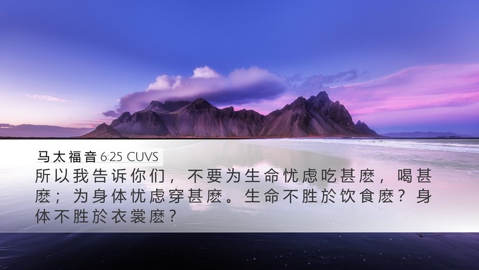 马 太 福 音 6:25 CUVS Bible Verse Image