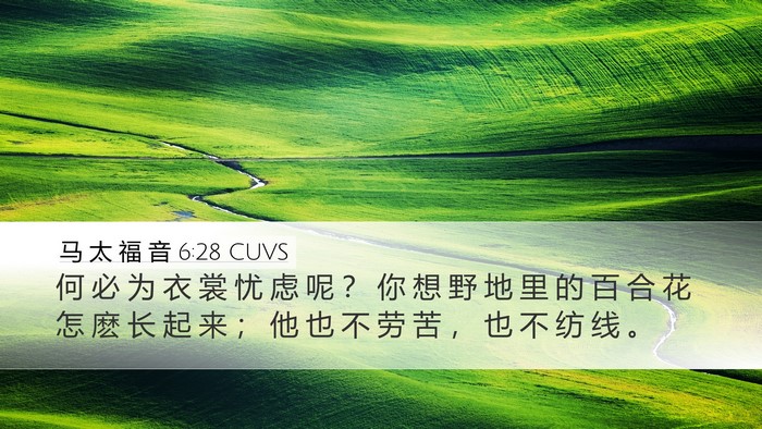马 太 福 音 6:28 CUVS Bible Verse Image