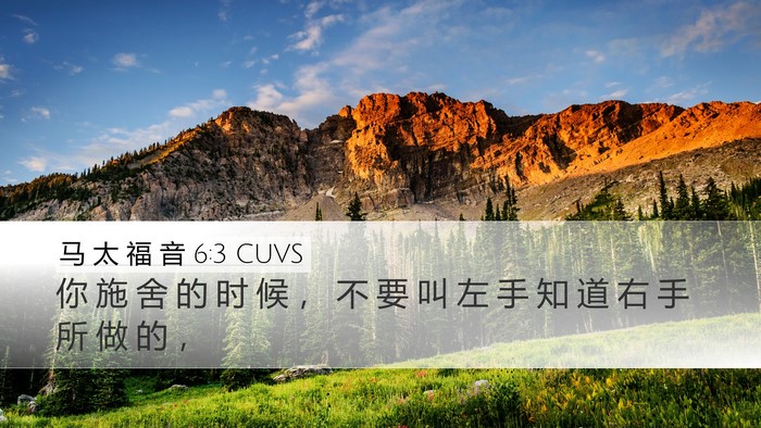 马 太 福 音 6:3 CUVS Bible Verse Image