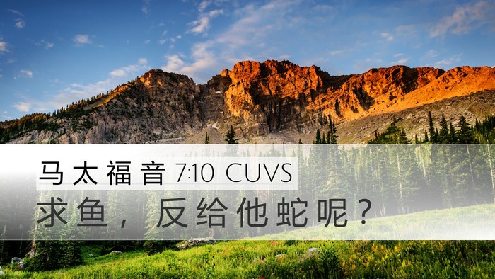 马 太 福 音 7:10 CUVS Desktop Wallpaper - 求 鱼 ， 反 给 他 蛇 呢 - Desktop Bible Verse Wallpaper