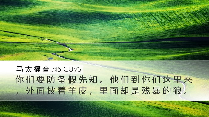 马 太 福 音 7:15 CUVS Bible Verse Image