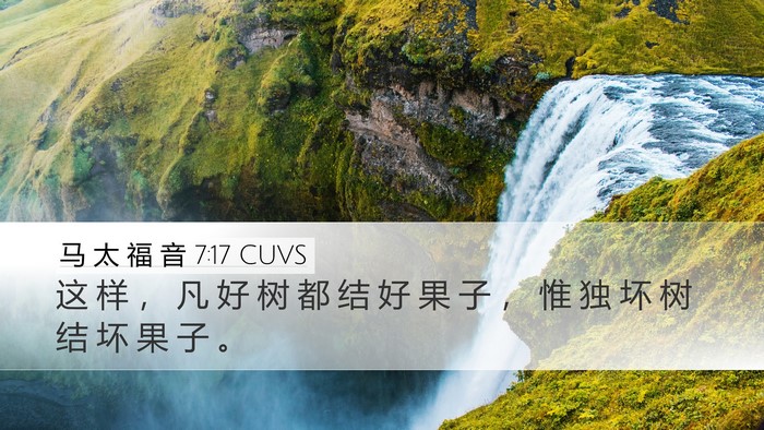 马 太 福 音 7:17 CUVS Bible Verse Image