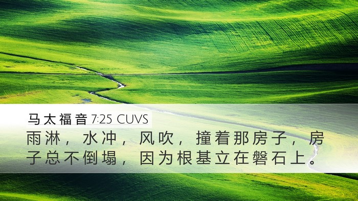 马 太 福 音 7:25 CUVS Desktop Wallpaper - 雨 淋 ， 水 冲 ， 风 吹 ， 撞 着 那 - Desktop Bible Verse Wallpaper