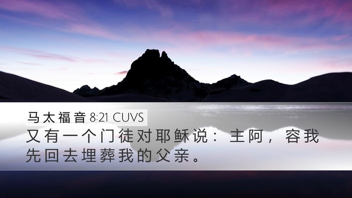 马 太 福 音 8:21 CUVS Bible Verse Image
