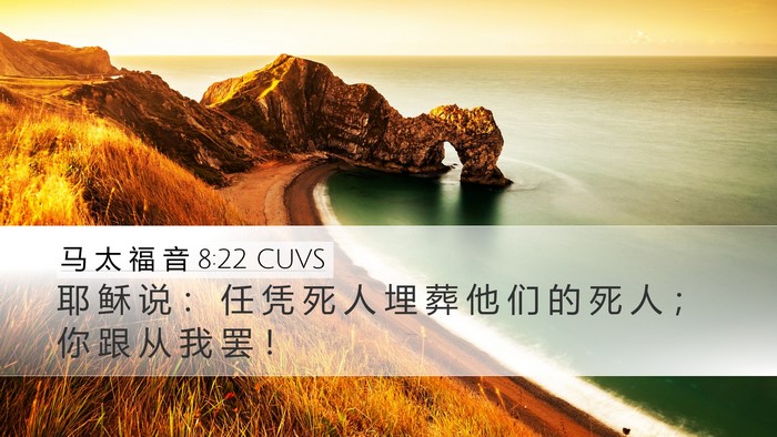 马 太 福 音 8:22 CUVS Bible Verse Image