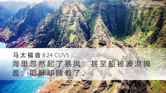 马 太 福 音 8:24 CUVS Bible Verse Image
