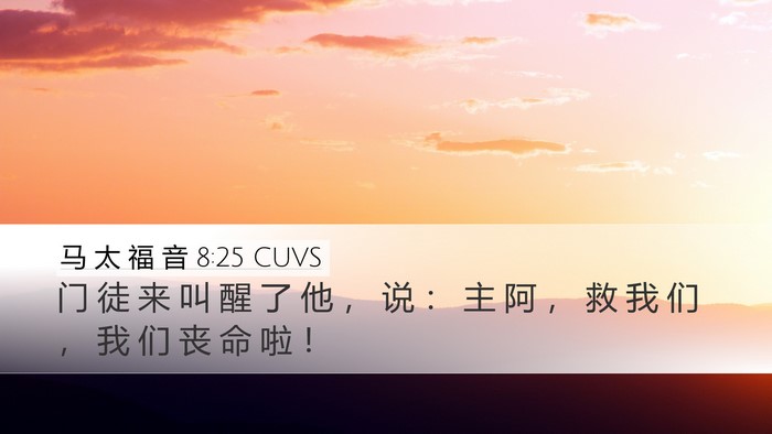 马 太 福 音 8:25 CUVS Desktop Wallpaper - 门 徒 来 叫 醒 了 他 ， 说 ： 主 阿 - Desktop Bible Verse Wallpaper