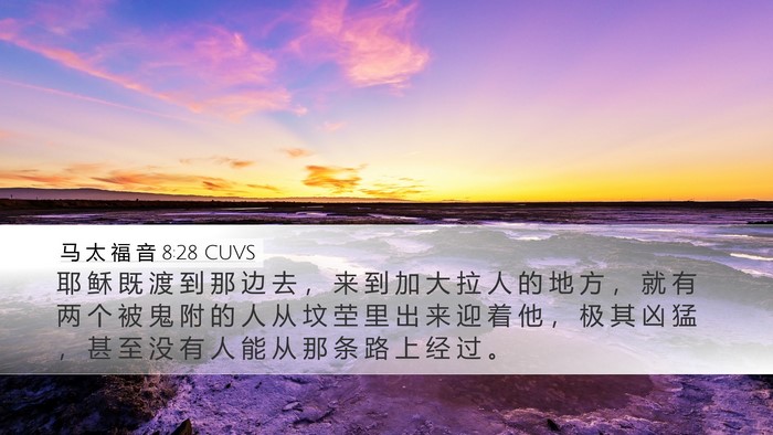 马 太 福 音 8:28 CUVS Desktop Wallpaper - 耶 稣 既 渡 到 那 边 去 ， 来 到 加 - Desktop Bible Verse Wallpaper