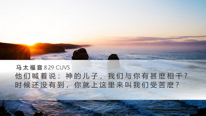 马 太 福 音 8:29 CUVS Bible Verse Image