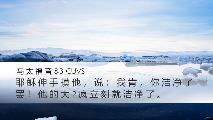 马 太 福 音 8:3 CUVS Bible Verse Image