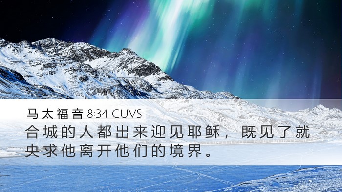 马 太 福 音 8:34 CUVS Desktop Wallpaper - 合 城 的 人 都 出 来 迎 见 耶 稣 ， - Desktop Bible Verse Wallpaper