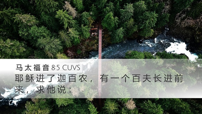 马 太 福 音 8:5 CUVS Desktop Wallpaper - 耶 稣 进 了 迦 百 农 ， 有 一 个 百 - Desktop Bible Verse Wallpaper