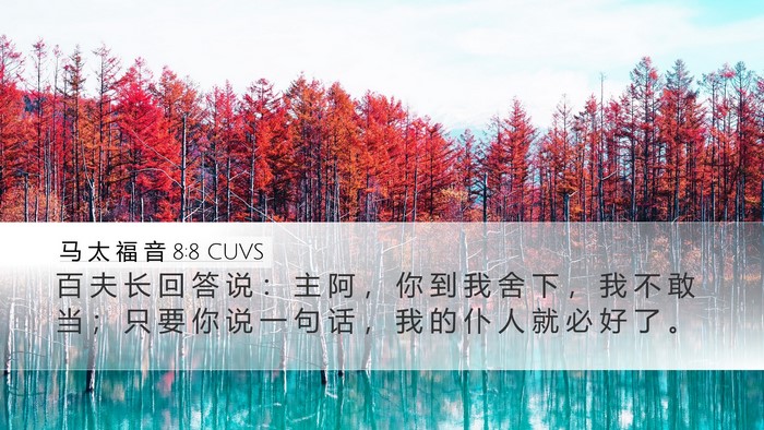 马 太 福 音 8:8 CUVS Bible Verse Image