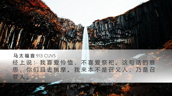 马 太 福 音 9:13 CUVS Desktop Wallpaper - 经 上 说 ： 我 喜 爱 怜 恤 ， 不 喜 - Desktop Bible Verse Wallpaper