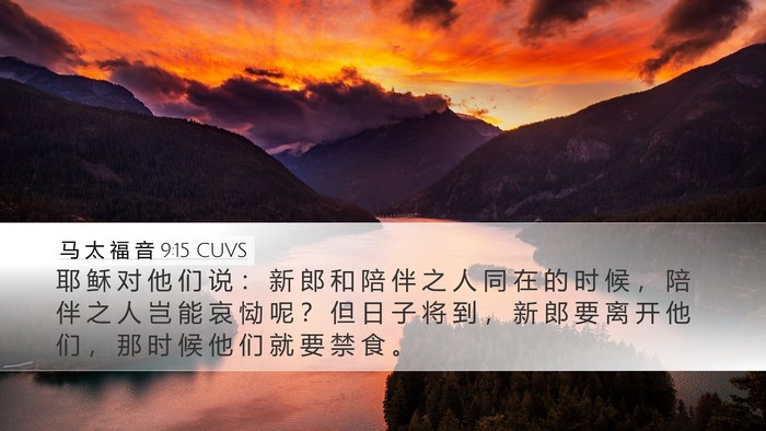 马 太 福 音 9:15 CUVS Bible Verse Image