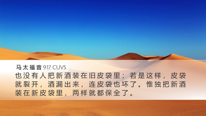 马 太 福 音 9:17 CUVS Bible Verse Image