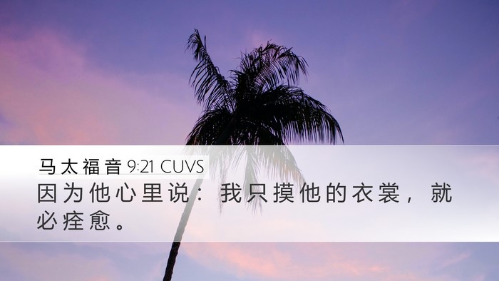 马 太 福 音 9:21 CUVS Desktop Wallpaper - 因 为 他 心 里 说 ： 我 只 摸 他 的 - Desktop Bible Verse Wallpaper