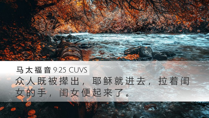 马 太 福 音 9:25 CUVS Bible Verse Image