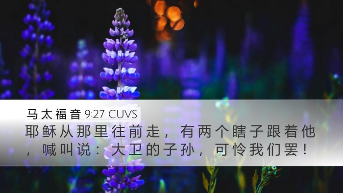 马 太 福 音 9:27 CUVS Bible Verse Image