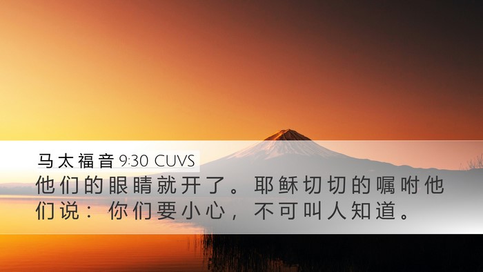 马 太 福 音 9:30 CUVS Bible Verse Image