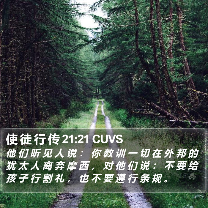 使 徒 行 传 21:21 CUVS - 他 们 听 见 人 说 : 你 教 训 一 切