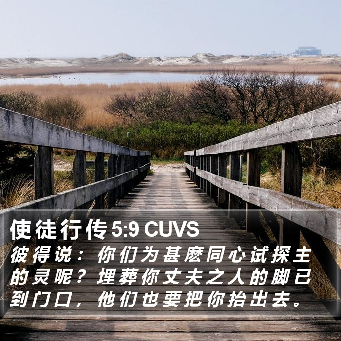 使 徒 行 传 5:9 CUVS - 彼 得 说 : 你 们 为 甚 麽 同 心 试