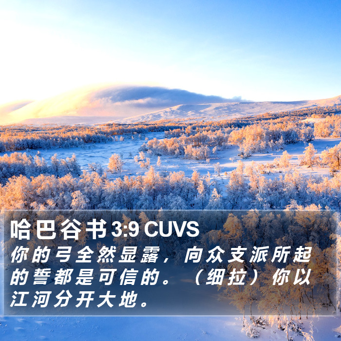 哈 巴 谷 书 3:9 CUVS - 你 的 弓 全 然 显 露 , 向 众 支 派