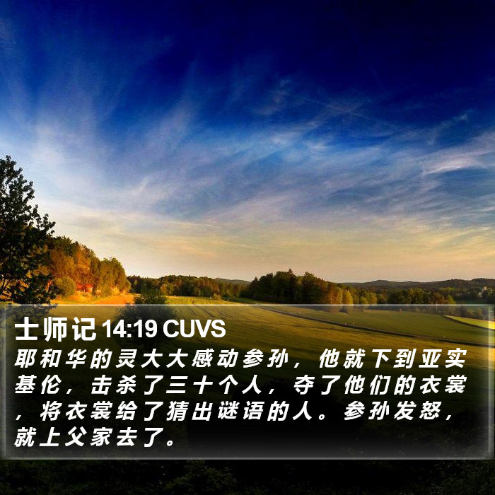 士 师 记 14:19 CUVS - 耶 和 华 的 灵 大 大 感 动 参 孙