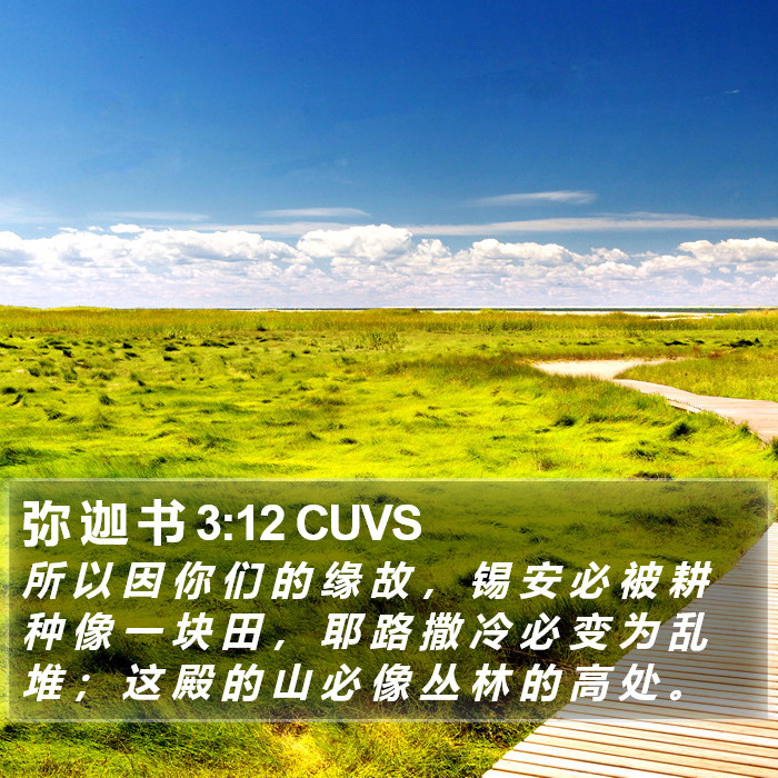 弥 迦 书 3 Bible Images - 弥 迦 书 Chapter 3 CUVS Bible Verse Pictures