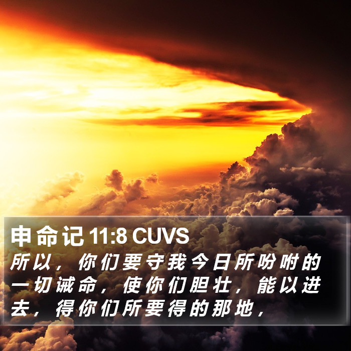 申 命 记 11:8 CUVS - 所 以 , 你 们 要 守 我 今 日 所 吩