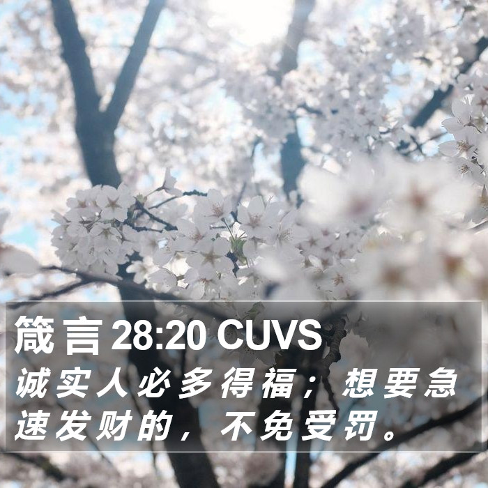 箴 言 28:20 CUVS - 诚 实 人 必 多 得 福 ; 想 要 急 速