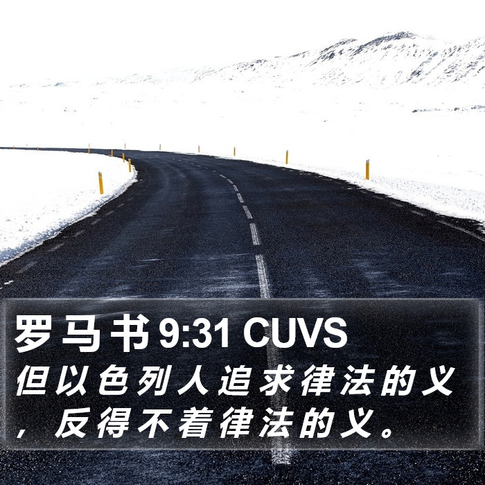 罗 马 书 9:31 CUVS - 但 以 色 列 人 追 求 律 法 的 义