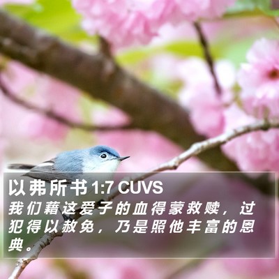 以 弗 所 书 1:7 CUVS Bible Verse Image