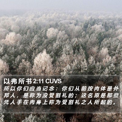以 弗 所 书 2:11 CUVS Bible Verse Image