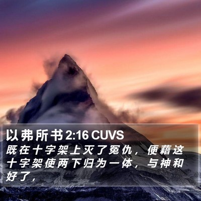 以 弗 所 书 2:16 CUVS Bible Verse Image